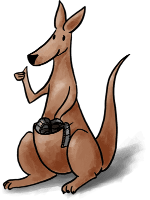 Kangaroo Clipart , Png Download - Kangaroo, Transparent Png PNG image with transparent background