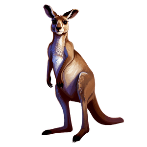 Kangaroo Illustration PNG hol PNG image with transparent background