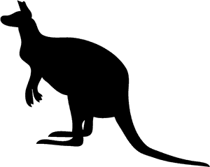 Kangaroo - Kangaroo Clipart Black, HD Png Download PNG image with transparent background