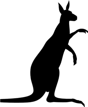 Kangaroo Standing Png Vector - Kangaroo, Transparent Png PNG image with transparent background