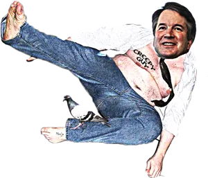 Karate Kick Pigeon Meme PNG Image