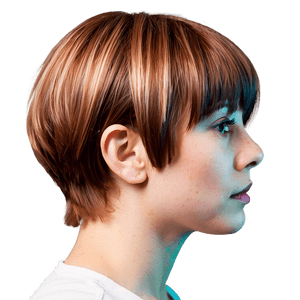 Karen Haircut with Highlights PNG tei PNG