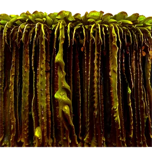 Kelp Forest Algae Png Jlk85 PNG Image