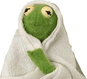 Kermitthefrog Kermitmemes The Frog - Kermit In A Blanket, HD Png Download PNG image with transparent background