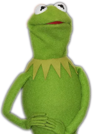 Kermitthe Frog Portrait PNG Image