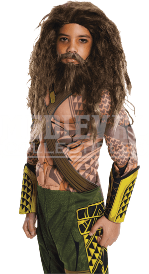 Kids Dawn Of Justice Aquaman Wig And Beard Set - Aquaman Wig And Beard For Kids, HD Png Download PNG image with transparent background