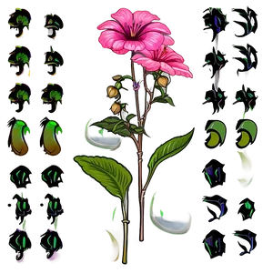 Kimilsungia Flower Png Usk PNG Image