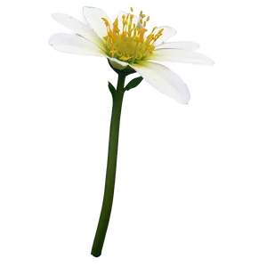 Kimilsungia Flower Png Vud PNG Image