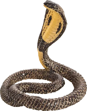 King Cobra Displaying Hood PNG Image