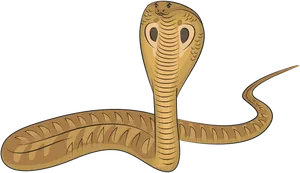 King Cobra Illustration PNG Image