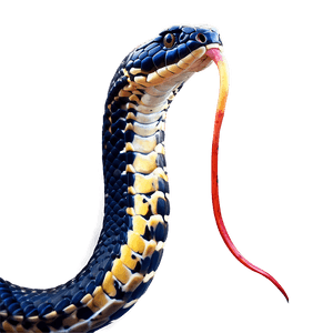 King Cobra Snake PNG 05032024 PNG image with transparent background