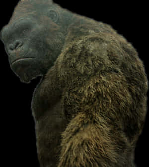 King Kong Profile Portrait PNG image with transparent background