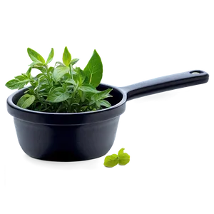 Kitchen Herb Png 14 PNG Image