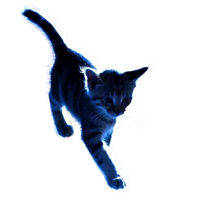 Kitten Ear Silhouette Png 38 PNG Image