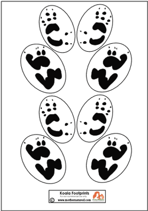 Koala Bear Footprints, Koala, Bear, Clothes Png Image - Koala Footprints PNG image with transparent background