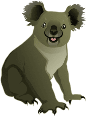 Koala Clipart PNG image with transparent background