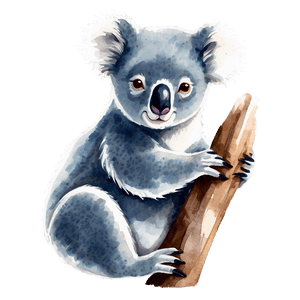 Koala Watercolor Painting PNG fup71 PNG image with transparent background