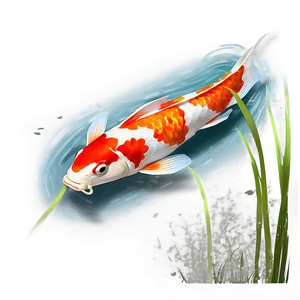 Koi Fish Pond Png Ber PNG Image