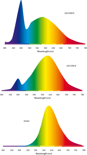 Products With Amber - Cat Color Spectrum, HD Png Download PNG image with transparent background