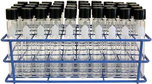 Laboratory Test Tubesin Rack PNG Image