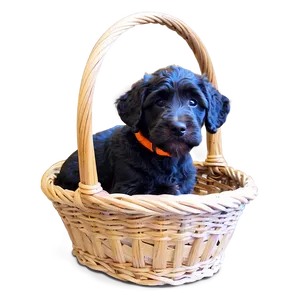 Labradoodle In A Basket Png 06262024 PNG Image