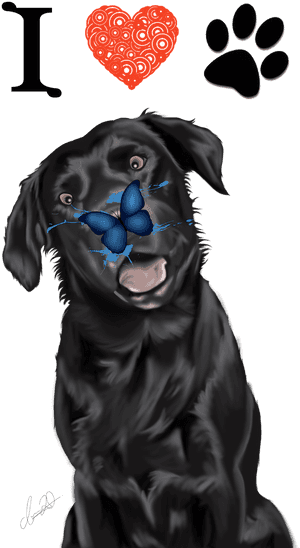 Labrador Dog Love Free Picture - Labrador Retriever, HD Png Download PNG image with transparent background