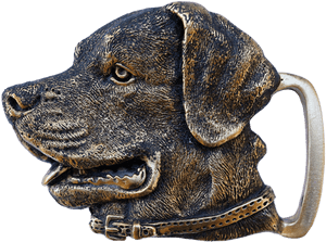 Labrador Retriever Buckle - Rottweiler, HD Png Download PNG image with transparent background