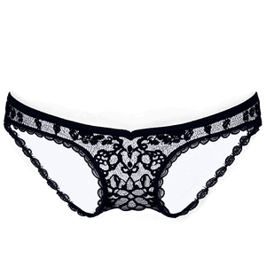Lace Underwear PNG 06212024 PNG