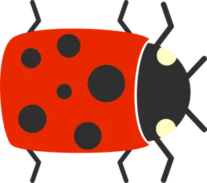 Ladybug PNG Image