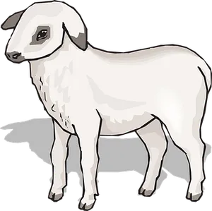 Lamb_ Illustration_with_ Shadow PNG Image