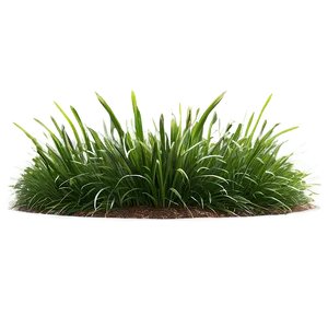 Landscape Grass Design Png 53 PNG Image