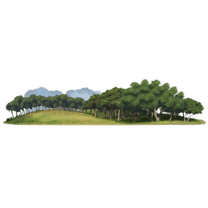 Landscape Sketch Drawing PNG ivu22 PNG image with transparent background