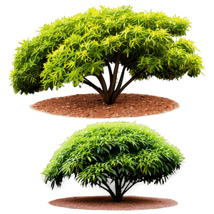 Landscaping Shrubs PNG udr8 PNG