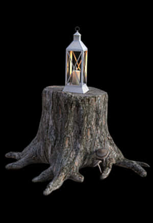 Lanternon Tree Stump PNG image with transparent background