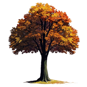 Large Autumn Tree PNG suh PNG with transparent background