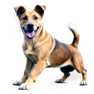 Large Dogs PNG 05242024 PNG image with transparent background