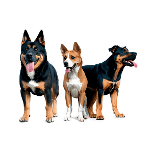 Large Dogs PNG 84 PNG image with transparent background