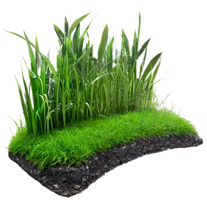 Large Grass Patch Png 2 PNG Image