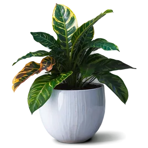 Large Indoor Plants Png Ecl PNG Image