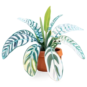 Large Indoor Plants Png Tpe PNG Image