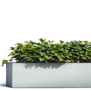 Large Outdoor Planter Box Png 59 PNG Image