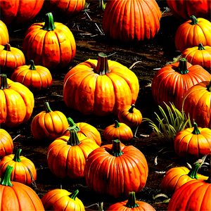 Large Pumpkin Patch PNG 06252024 PNG with transparent background