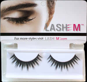 Eyelash Extensions, HD Png Download PNG image with transparent background