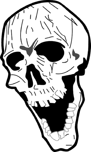 Skull, Nasty, Laughing, Bone, Death's Head, Death - Sideways Skull, HD Png Download PNG image with transparent background