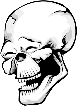 Skull Transparent Png - Laughing Skull Transparent, Png Download PNG image with transparent background