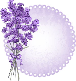 Lavender Bouquet Illustration PNG image with transparent background