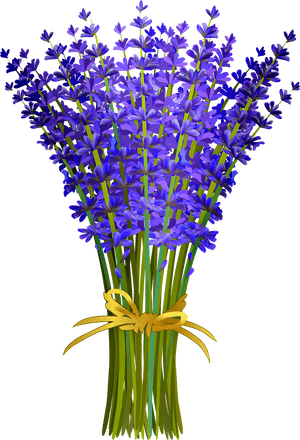 Lavender Bouquet Illustration PNG image with transparent background