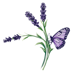 Lavender Butterfly Illustration PNG 05232024 PNG image with transparent background