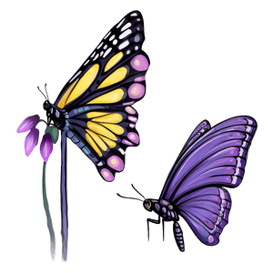 Lavender Butterfly Illustration PNG tcu17 PNG image with transparent background