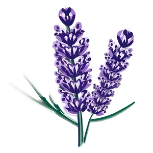 Lavender Cricut Diy Png 06282024 PNG Image